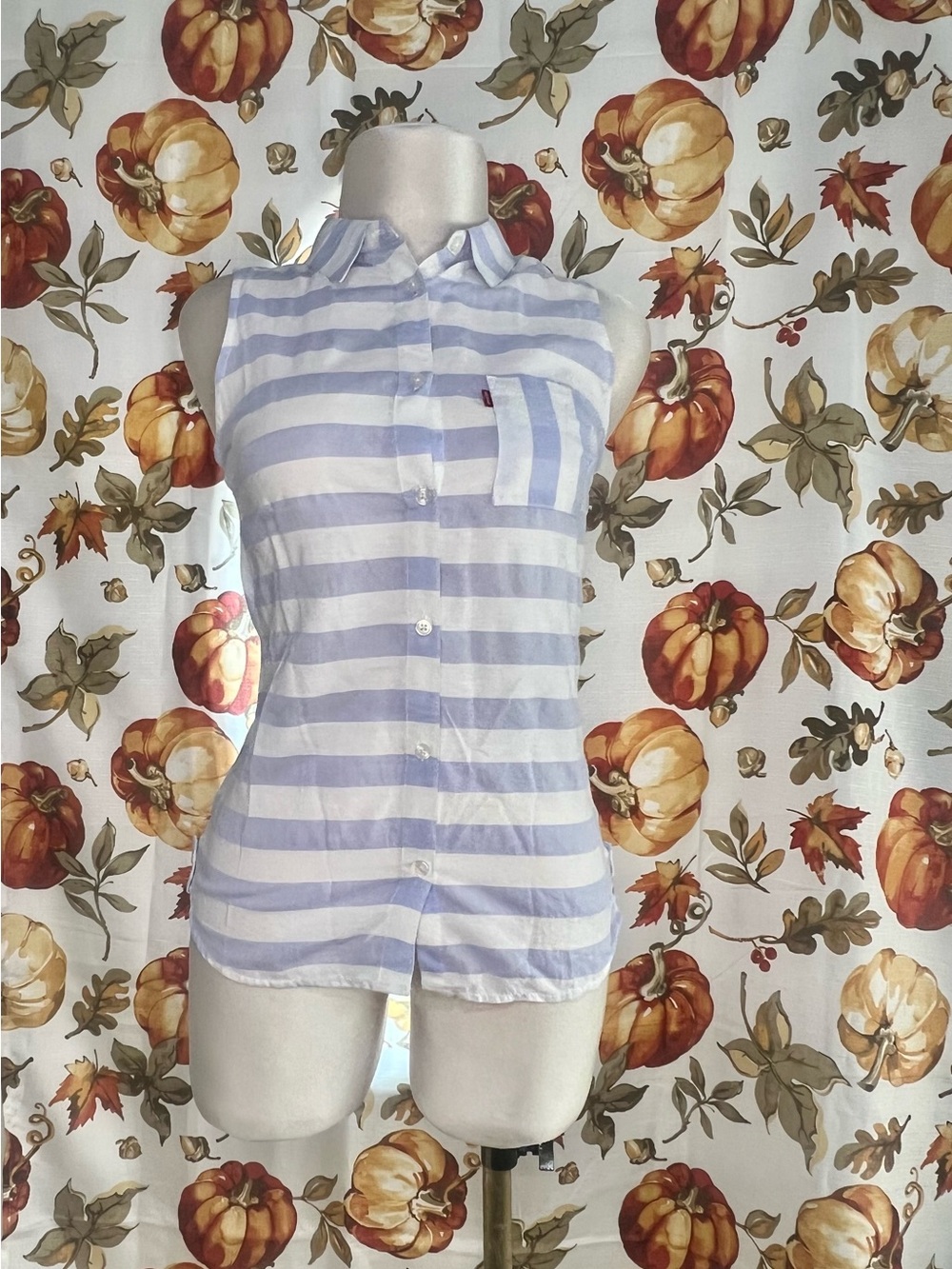 Levi's Sleeveless Button-Down Shirt in Light Blue and White Stripes
